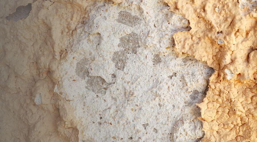 Why Choose Low-Flow Toilet Installation Pros